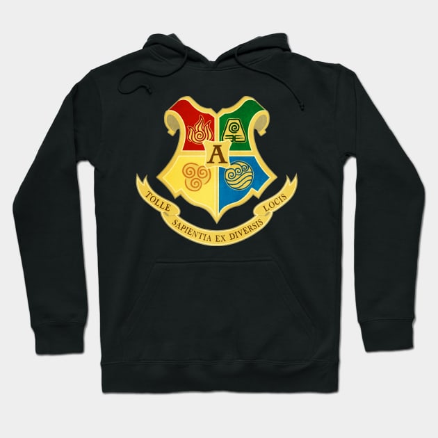 The Avatar School of Bending Hoodie by Rockabirdie